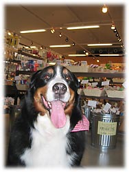 ���X�̒��ŁE�E�E�B