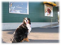 �u�����͂�����Ƃ��ł������ĕ�˂ł��B�v