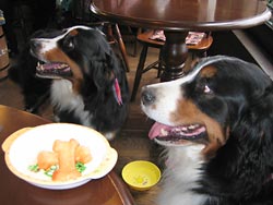 �u�������A����y���݂��ˁB�v