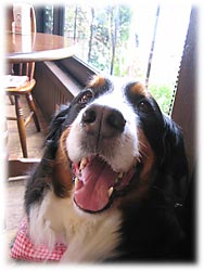 �����q�ő҂��Ă�΁[�Ɂ[