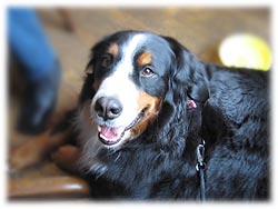 �u�����ƃt�Z���Ă��ĂˁB�v