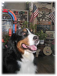 �u�΂������A�n�C�|�[�Y�I�v