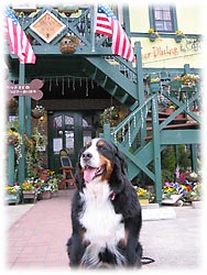 ���ԂƃA�����J�̍�������ۓI�ł��I