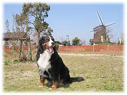 ������Ƃ܂Ԃ����΁[�Ɂ[�B