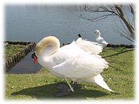 �u�����I���񂽁I�I�ӂ��[�[��!!!�v