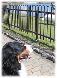 �u����ɂ��́`�B�v