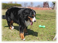 �u����΂��[�B�v