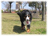 �u�́`���A����΂��āI�v