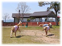 ����R��񂱁I