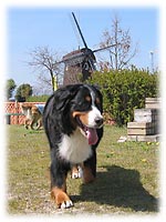 �u�΂������A�������I�v