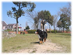 �u�ݐ؂ł́`�сA�̂сI�v