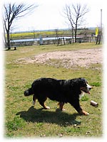 �u�������͉����ȁH�v