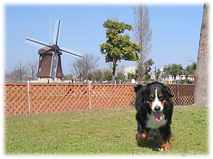 ���Ԃ��o�b�N�ɑ���΁[�Ɂ[�B