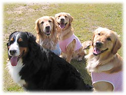 �u�y�����H�v�u�́`���I�v