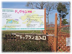 �킭�킭�h�L�h�L�̂͂��܂�`�B