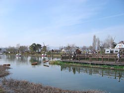 ���ʂ��h�b�O����