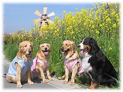 �Ί疞�J�̂�񂱂���