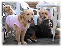 �݂�Ȃ����q��������B