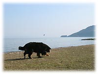 �u���������ꂵ���Ȃ��Ă���������I�v