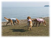 ��������U��R���