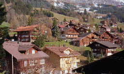 �R�̍��X�C�X