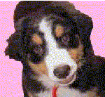 �w�΁[�Ɂ[�ł��I��낵���I�x