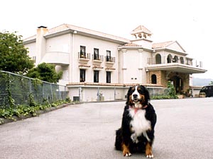 ���ԏ�͍L���̂ŁA�y�X�B