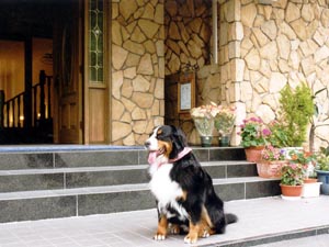 ������������B