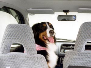 �������@������!!