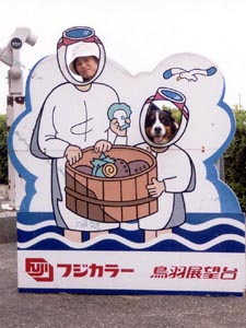 �΁[�Ɂ[�́A�������ĂȂ���B�����Ă�̂��B