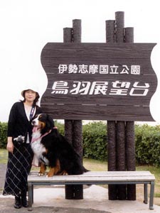 �����͗������Ȃ��B