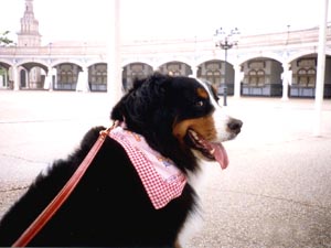 �������ɂ��₩�B���y���Ă�B