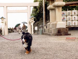 �l�������ς��A�h�L�h�L�B