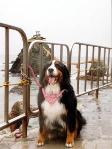 �J�����C�Ȃ΁[�Ɂ[�B