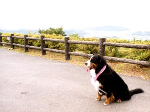 �������������Ă�`�B