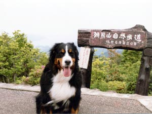 �R��������R�͓���!!