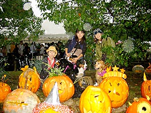 �R���e�X�g�̂��ڂ��Ⴝ���������ς���