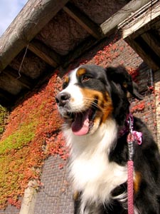 �킟�����،͂炵���!!