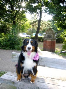 ���������т̓��g���ȕ��͋C�ł��B