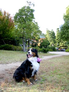 ����O���E���h�̉��ŁE�E�E�B