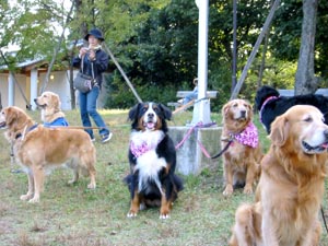 �E��������������񂾂�B�B�B