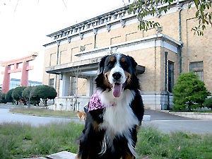 �����̑O��������ɂȂ��Ă��܂��B