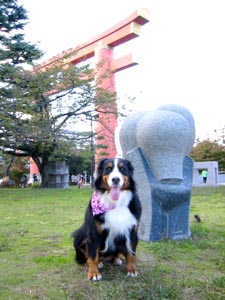 ���p�ق̑O�̃I�u�W�F�B