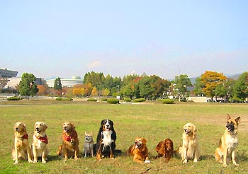 �킟��!!�݂�Ȃ�9�C!!