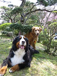 ���p�ق̂���ł����������ƁE�E�E�B