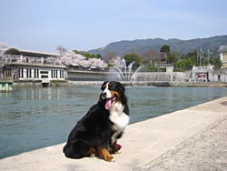 �����͑a���̐F�����ꂢ!!