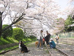 ���H�������Ƒ����Ă܂��B�B�B