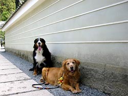 �������ĉ낾�Ȃ��E�E�E�B