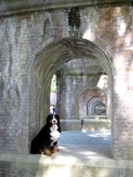 �ԃ����K�A���������������E�E�E�B