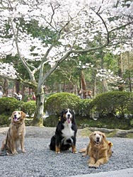 ���A���ꂢ���ˁB�B�B